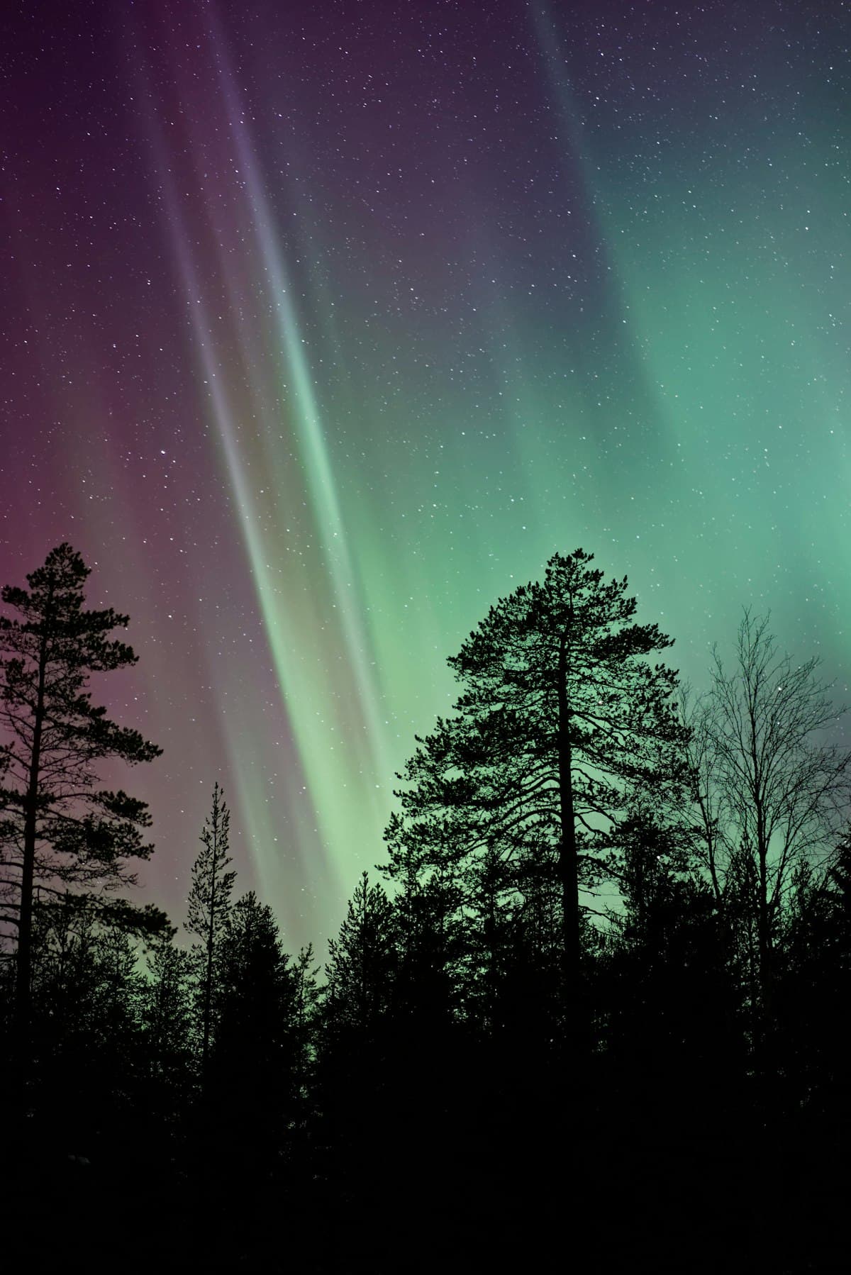 Seasonal Affective Disorder (SAD): Why You Feel Worse in Winter — and What Helps