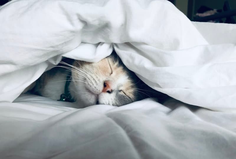 How Sleep Affects Your Mental Health — And What You Can Do About It